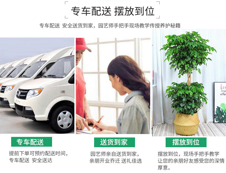 ab2486abd1697a56930e0cb53f75aefe (1).jpg